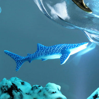 https://cdn.shopify.com/s/files/1/0840/5028/0740/files/Closeup-Shark.jpg