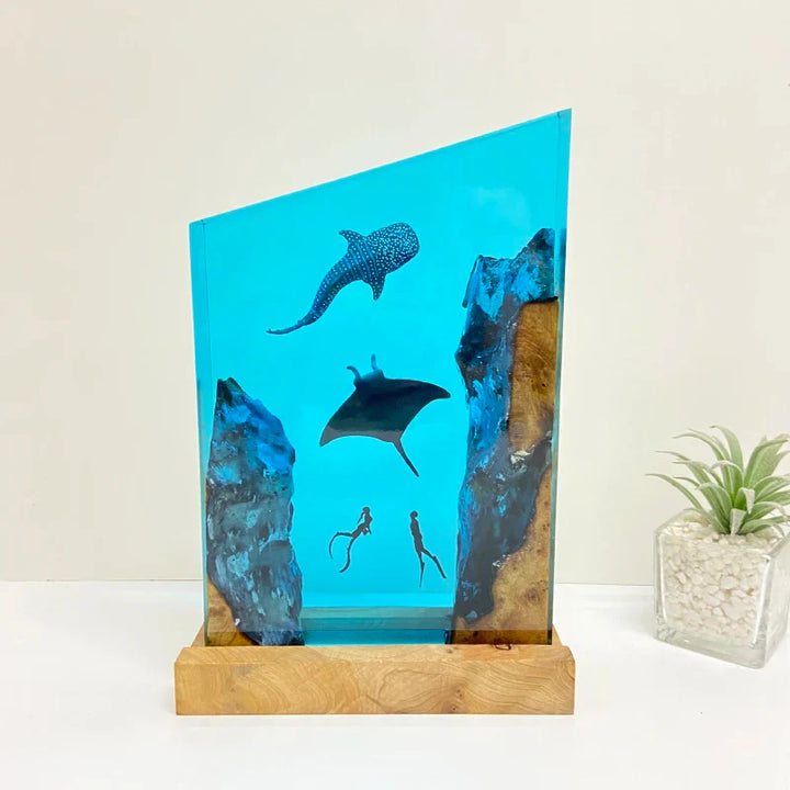 https://cdn.shopify.com/s/files/1/0840/5028/0740/files/S3cccaf503f5148a4b82bfff7f4309b2an.webp
